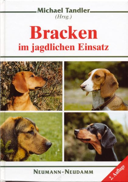 Bracken im jagdlichen Einsatz Pets