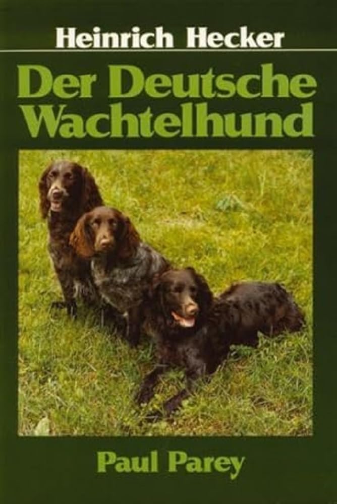 Product Image: Der Deutsche Wachtelhund