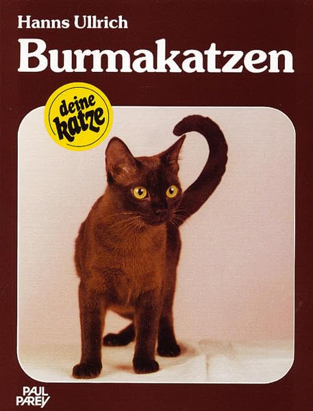 Burmakatzen: Kauf, Haltung, Pflege Pets