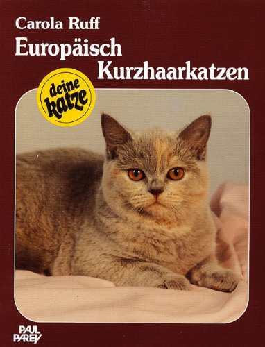 Europäisch Kurzhaarkatzen: Kauf, Haltung, Pflege Pets