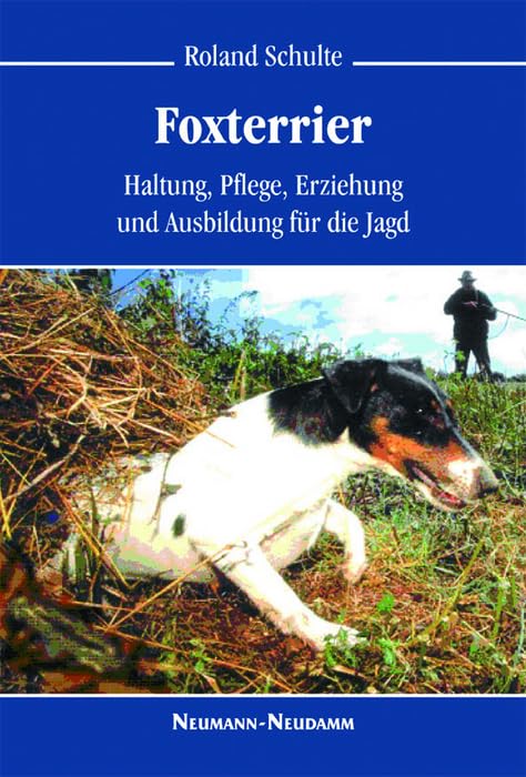 Product Image: Foxterrier