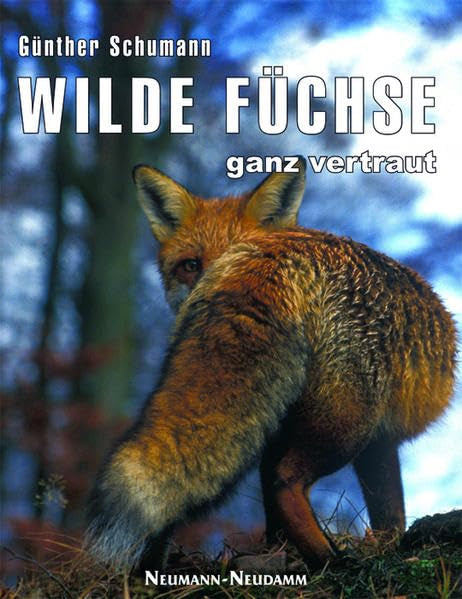 Wilde Füchse - ganz vertraut Pets