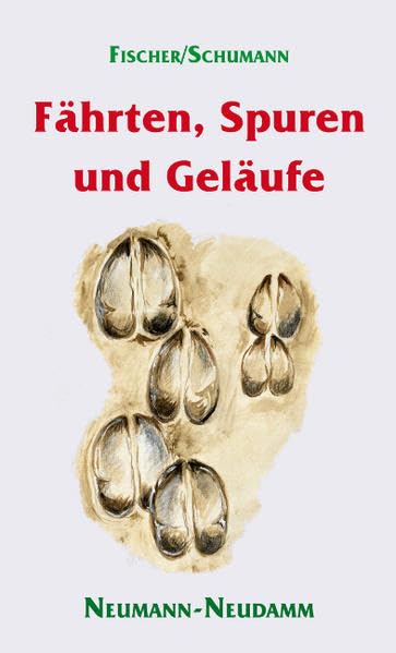 Fährten, Spuren und Geläufe Leisure & Fun