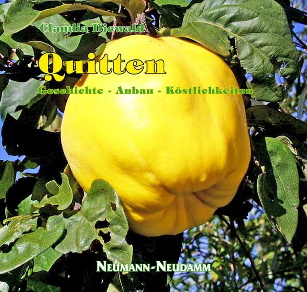 Quitten: Geschichte - Anbau - Köstlichkeiten Leisure, Home & Garden