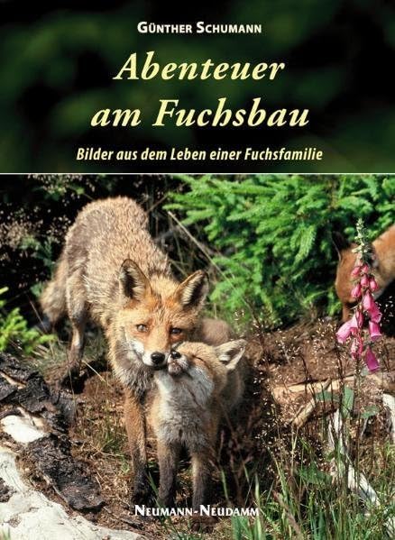 Abenteuer am Fuchsbau: Bilder aus dem Leben einer Fuchsfamilie Leisure, Home & Garden