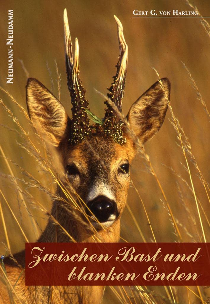 Zwischen Bast und blanken Enden Contemporary literature