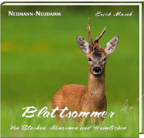 Blattsommer: Von Starken, Abnormen und Heimlichen Leisure & Fun