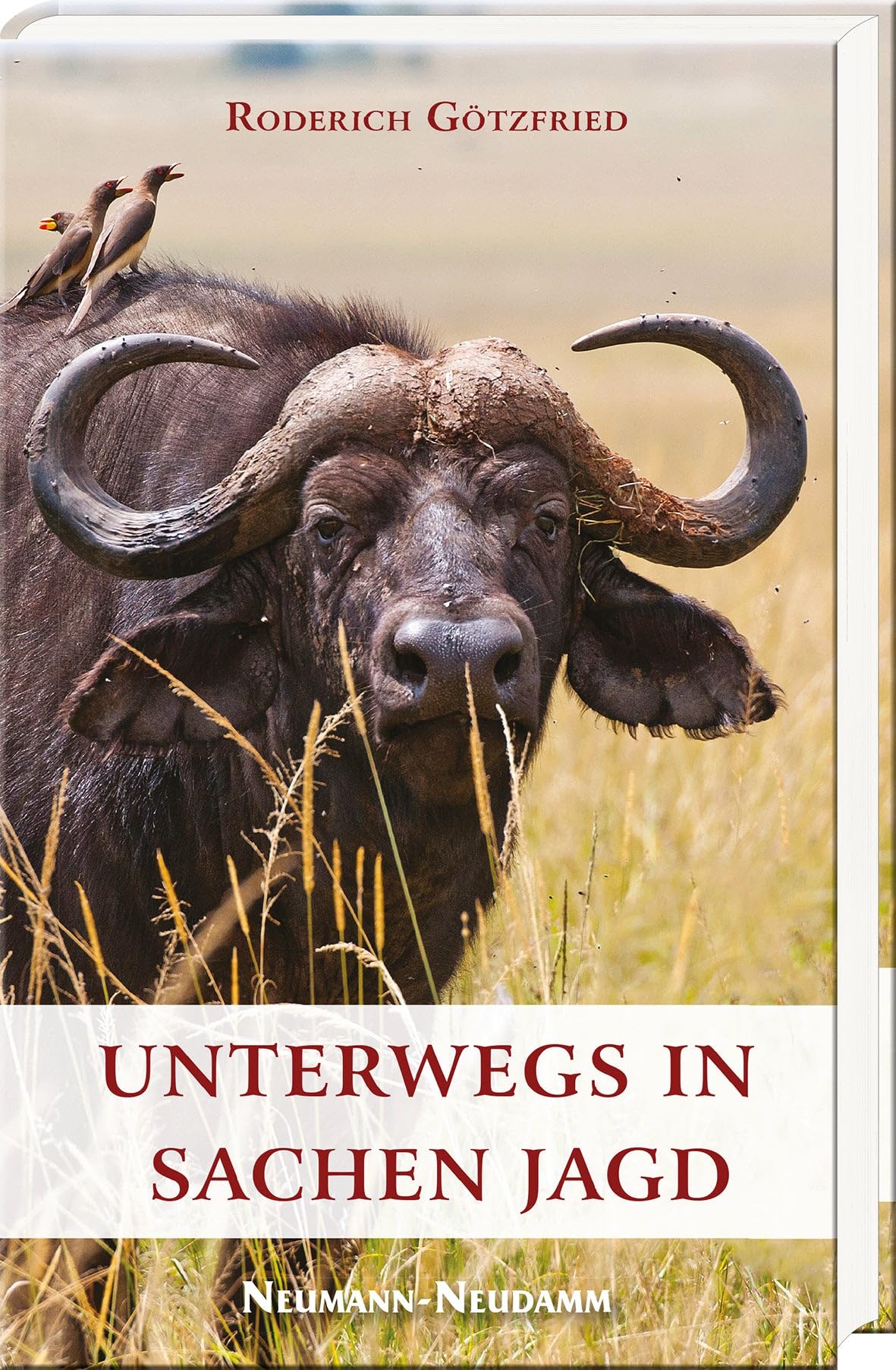 Unterwegs in Sachen Jagd Contemporary literature
