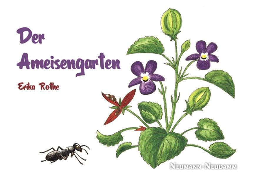Product Image: Der Ameisengarten