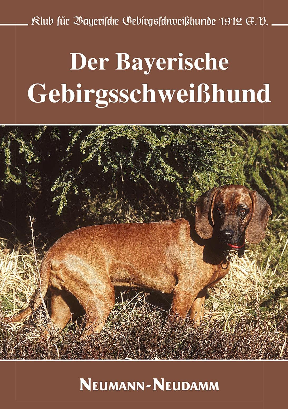 Der Bayerische Gebirgsschweißhund Pets