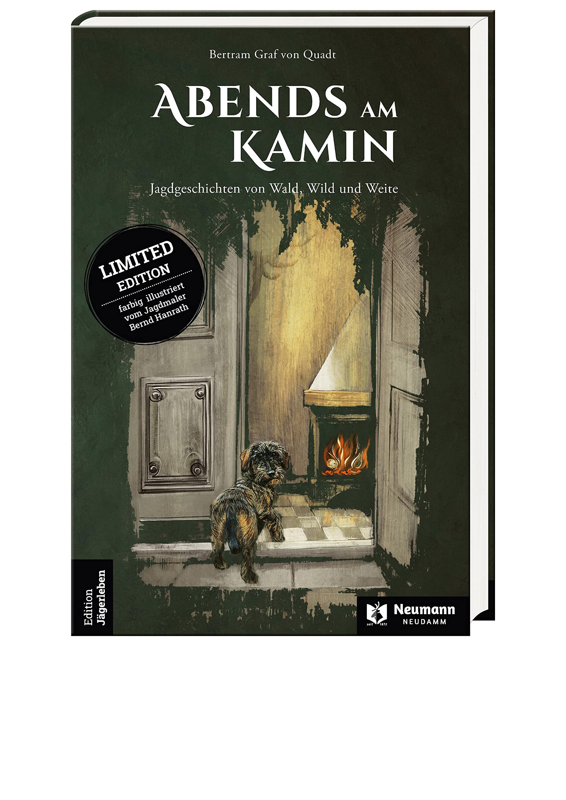 Abends am Kamin Contemporary literature Books