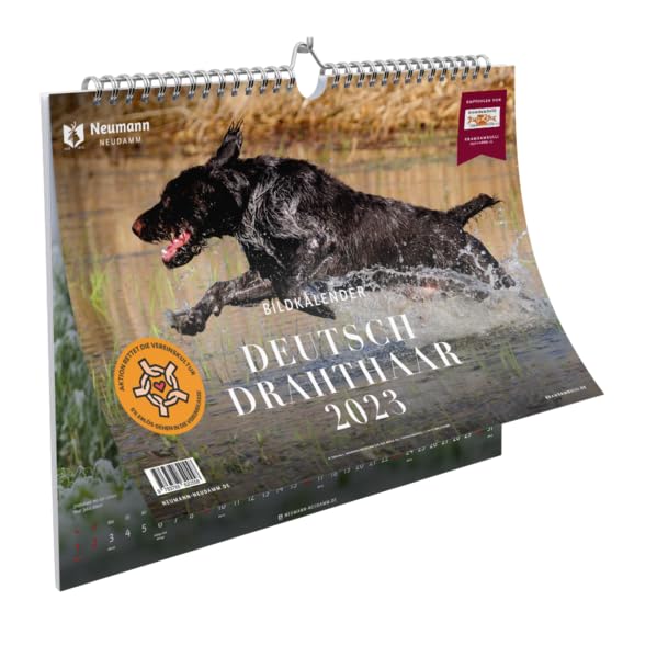 Deutsch Drahthaar Bildkalender 2023 Calendars