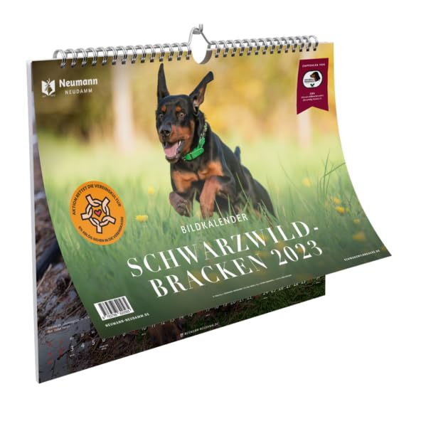 Schwarzwildbracken Bildkalender 2023 Calendars