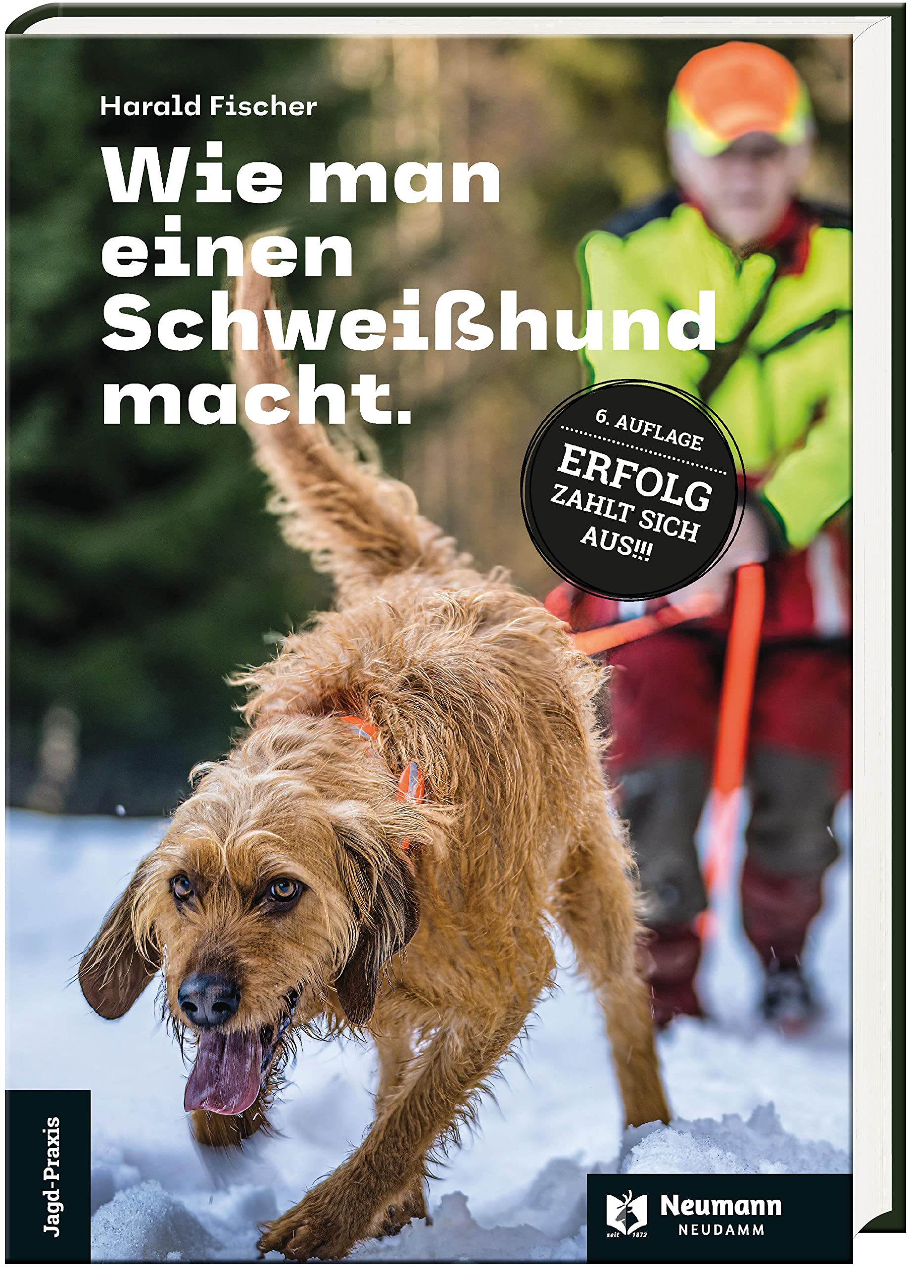 Wie man einen Schweißhund macht. Pets