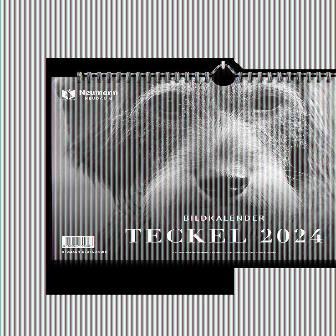 Teckel 2024: Themenkalender Photography