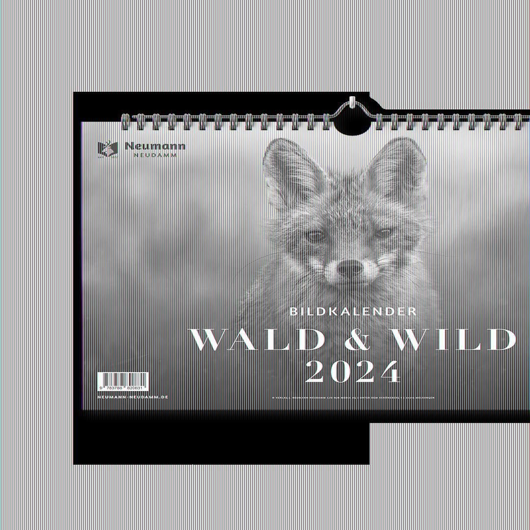 Wald & Wild 2024: Themenkalender Photography