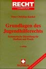 Grundlagen des Jugendhilferechts: Systematische Darstellung für Studium und Praxis Law