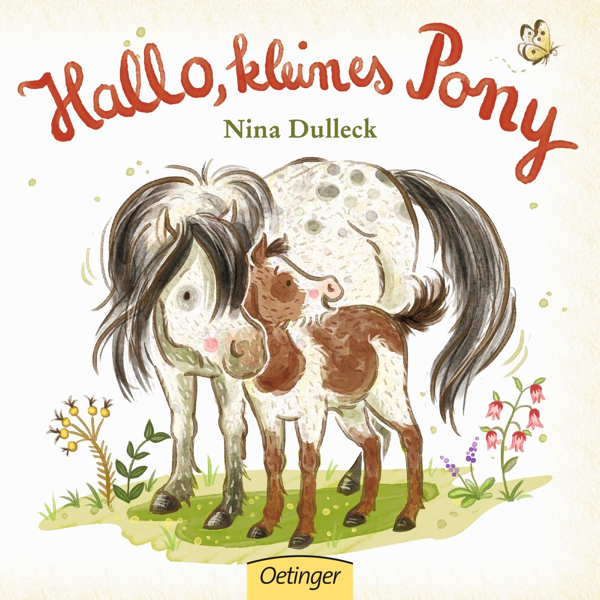 Product Image: Hallo, kleines Pony!