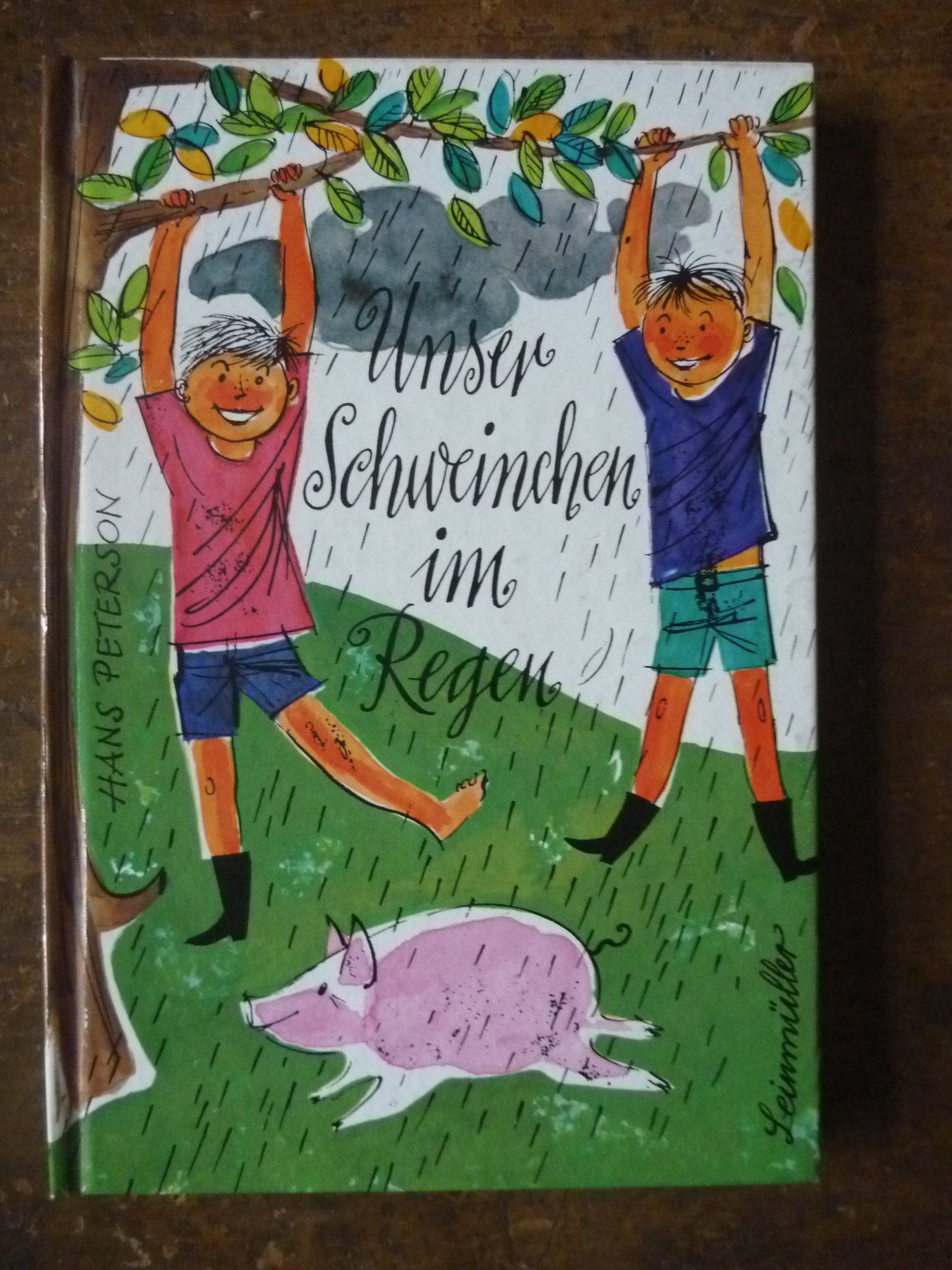 Product Image: Unser Schweinchen im Regen
