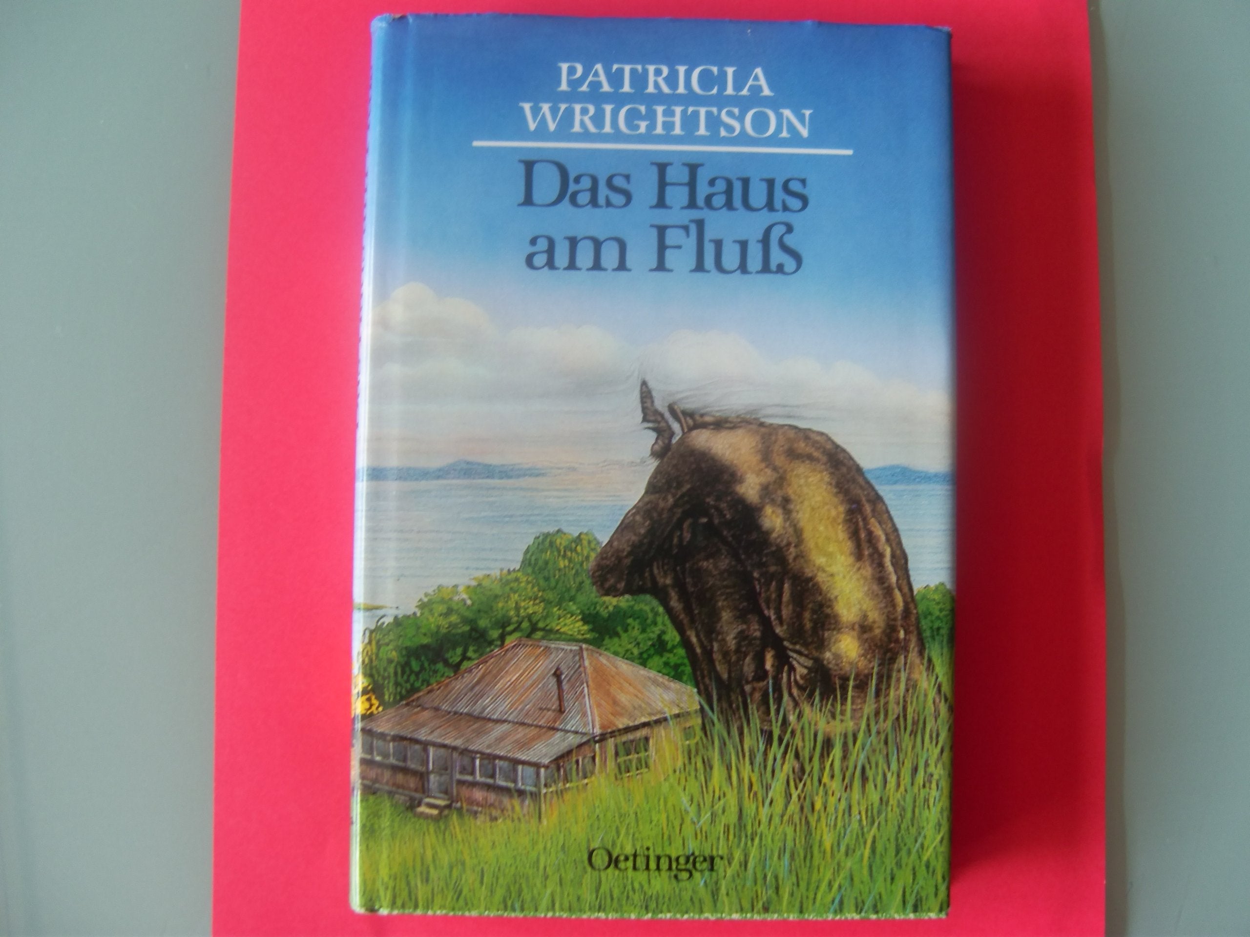Das Haus am Fluss Books