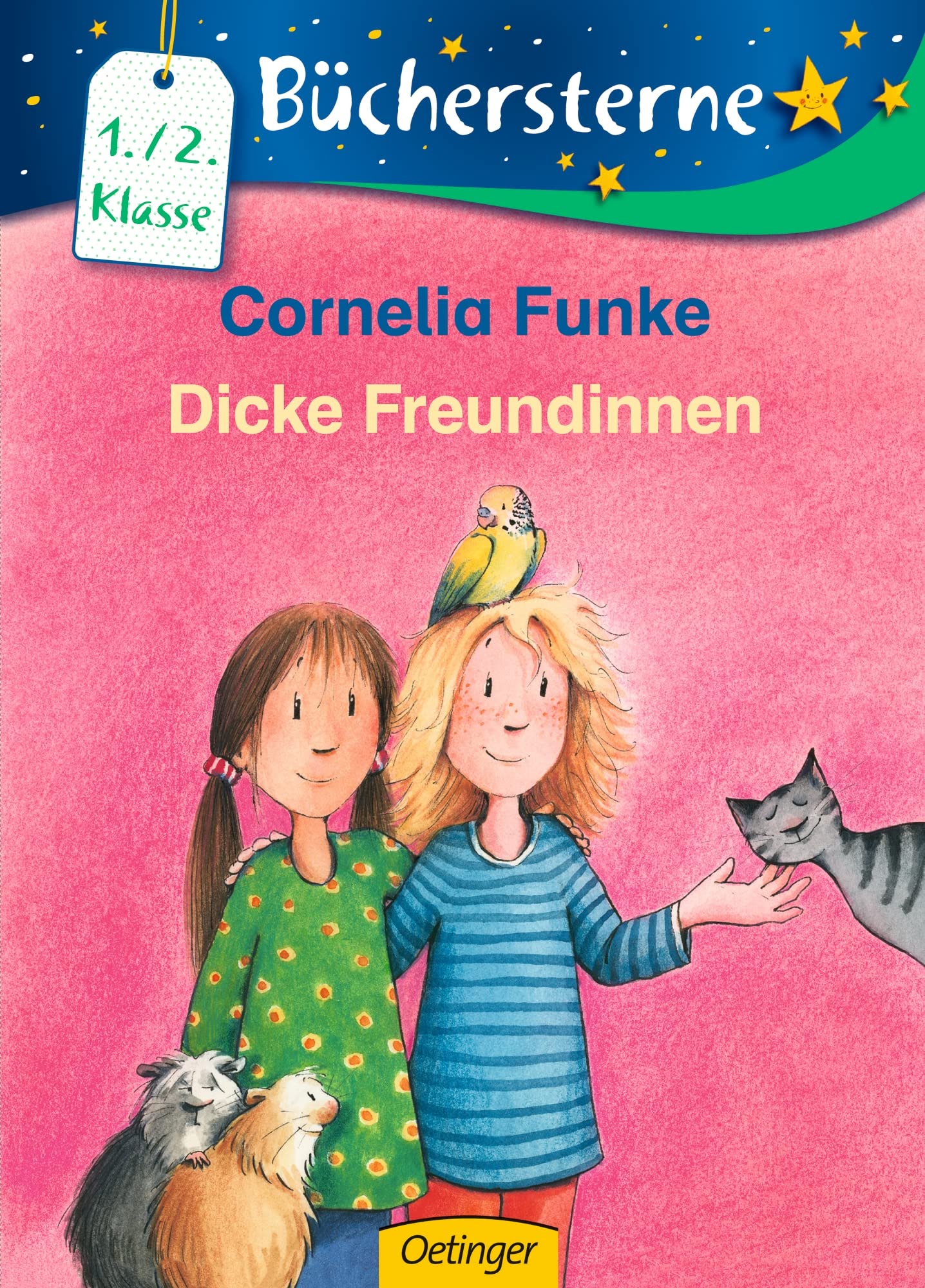 Dicke Freundinnen Contemporary literature Books