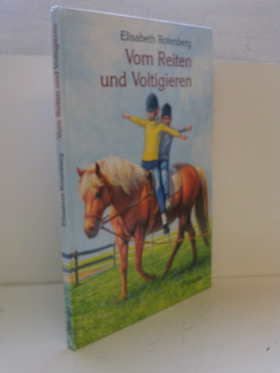 Vom Reiten und Voltigieren book