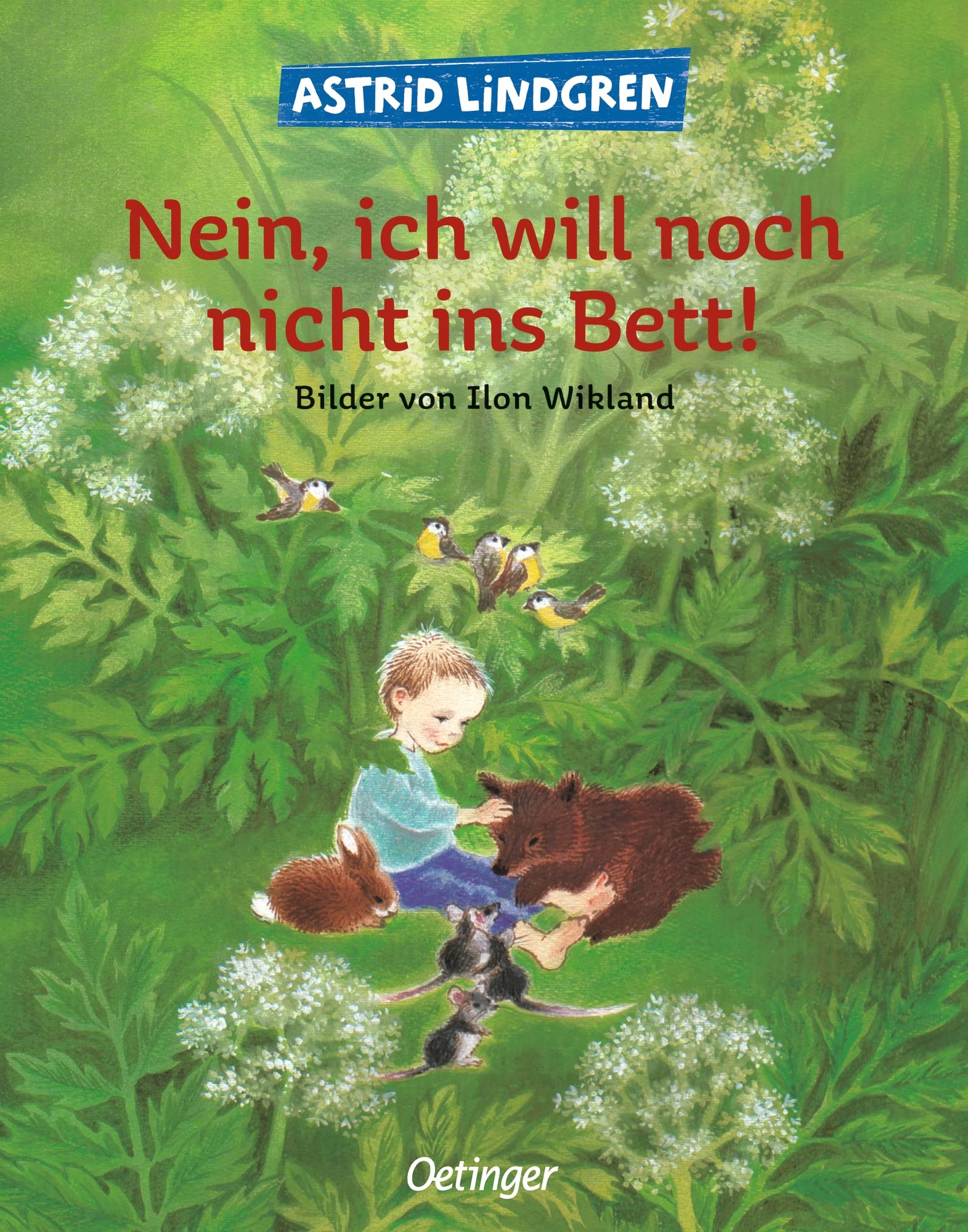 Nein, ich will noch nicht ins Bett! Non-fiction