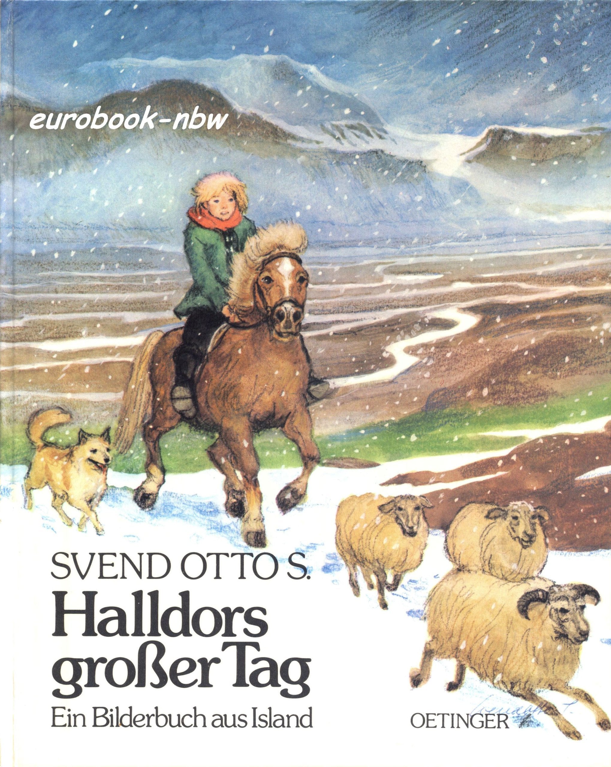 Halldors großer Tag: Ein Bilderbuch aus Island Books