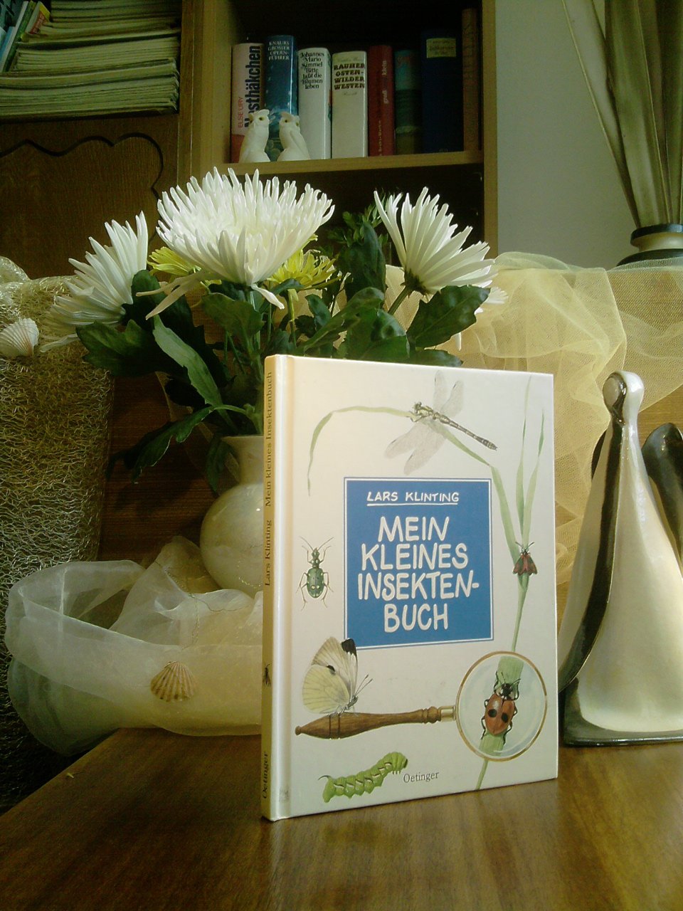 Mein kleines Insektenbuch Natural Sciences