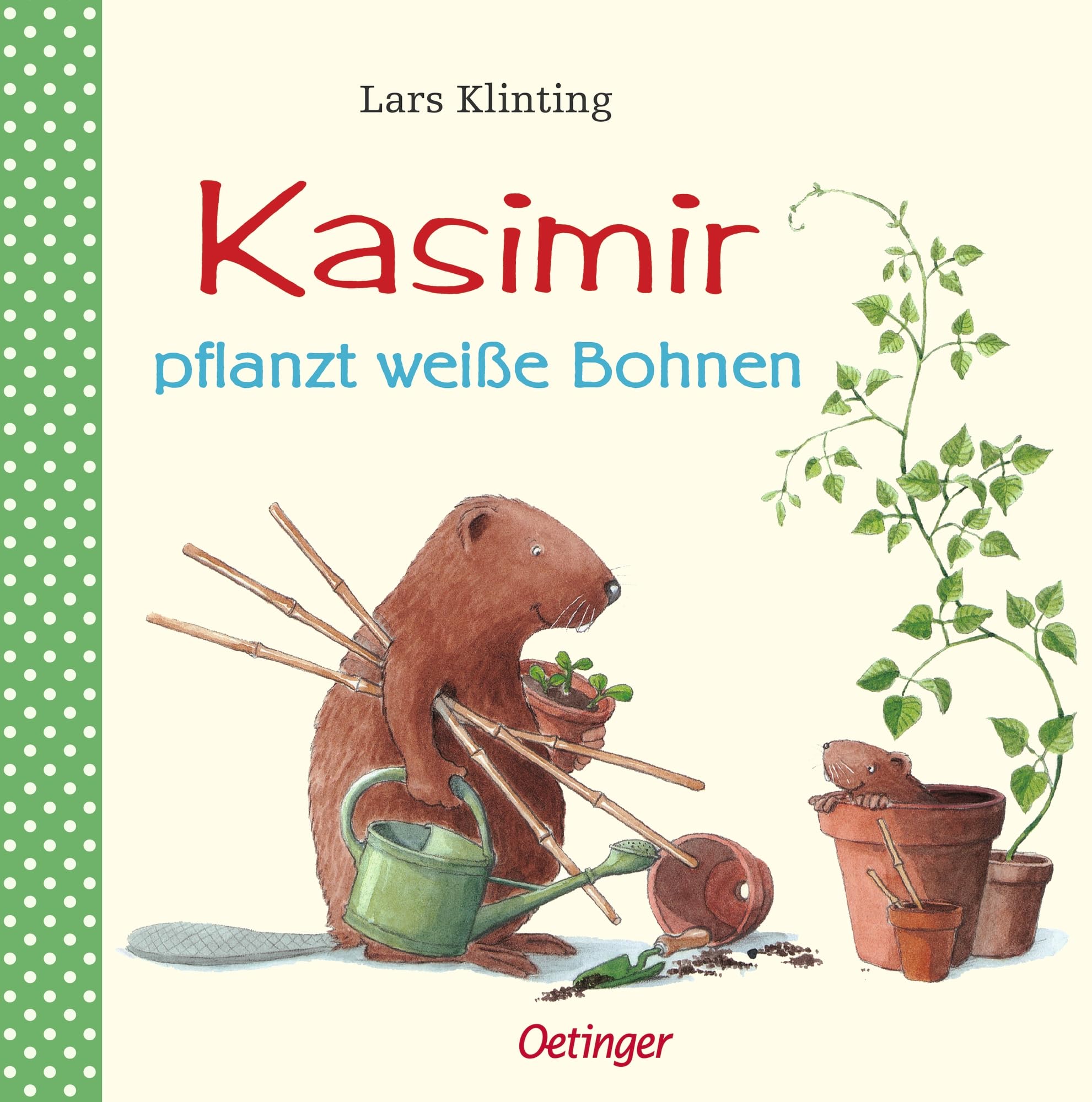 Kasimir pflanzt weiße Bohnen General education