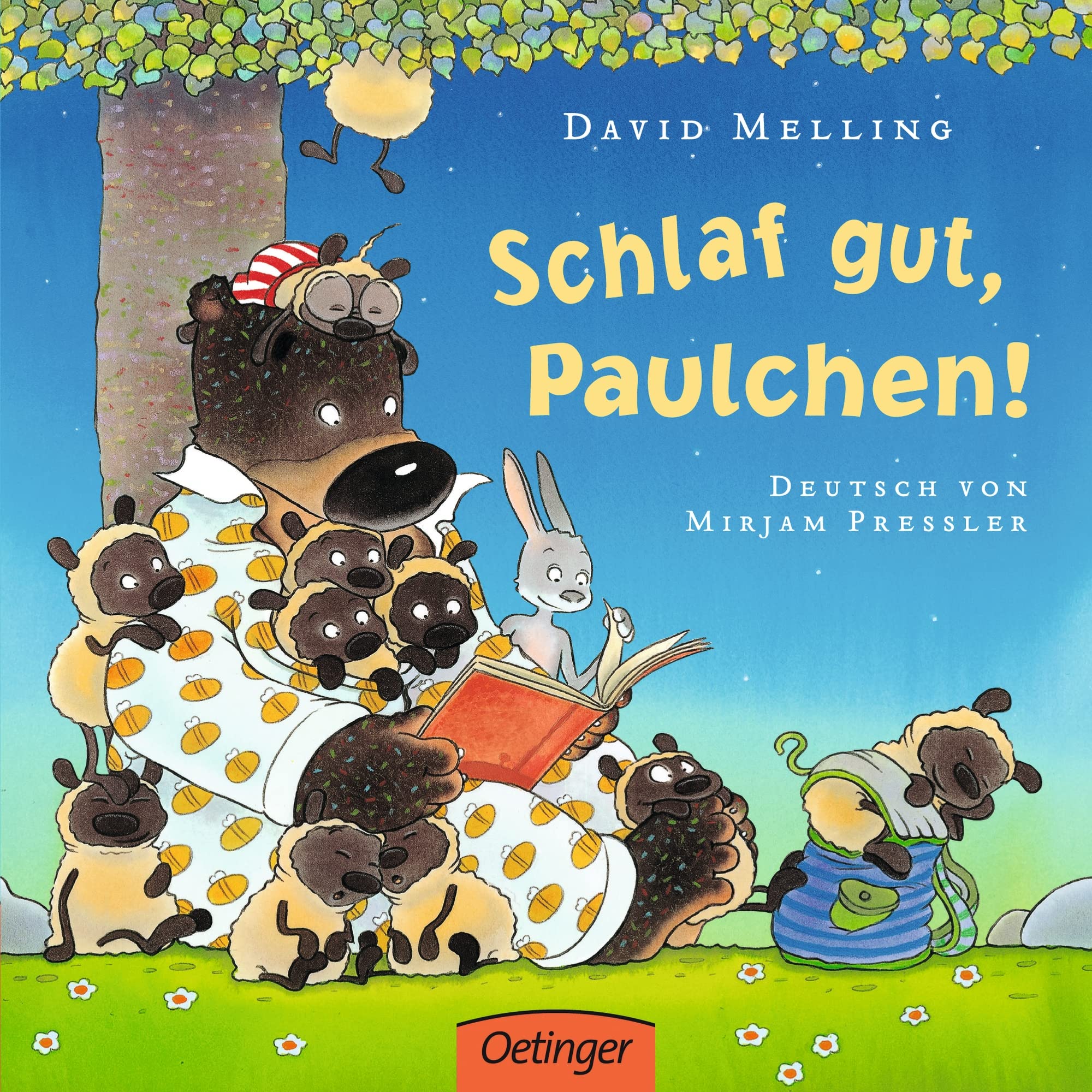 Schlaf gut, Paulchen! Children's books