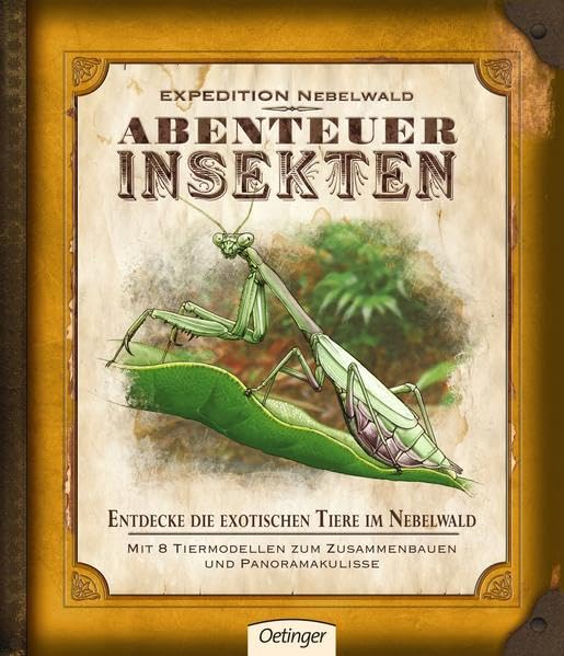 Expedition Nebelwald: Abenteuer Insekten Non-fiction