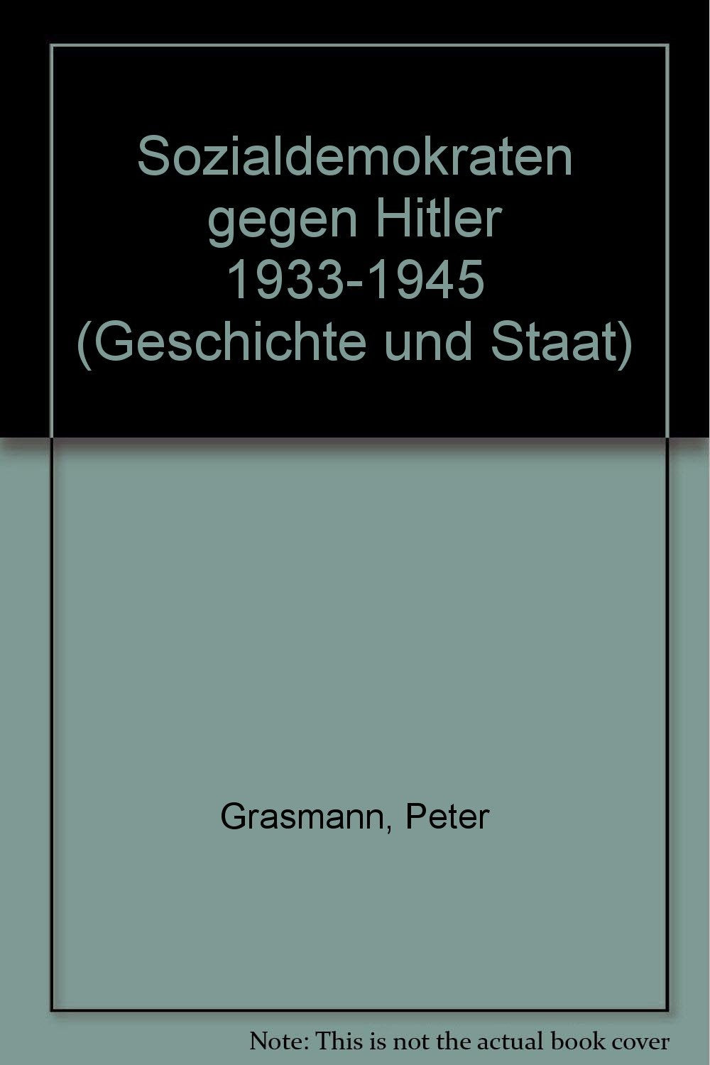 Sozialdemokraten gegen Hitler 1933-1945 Politics & History