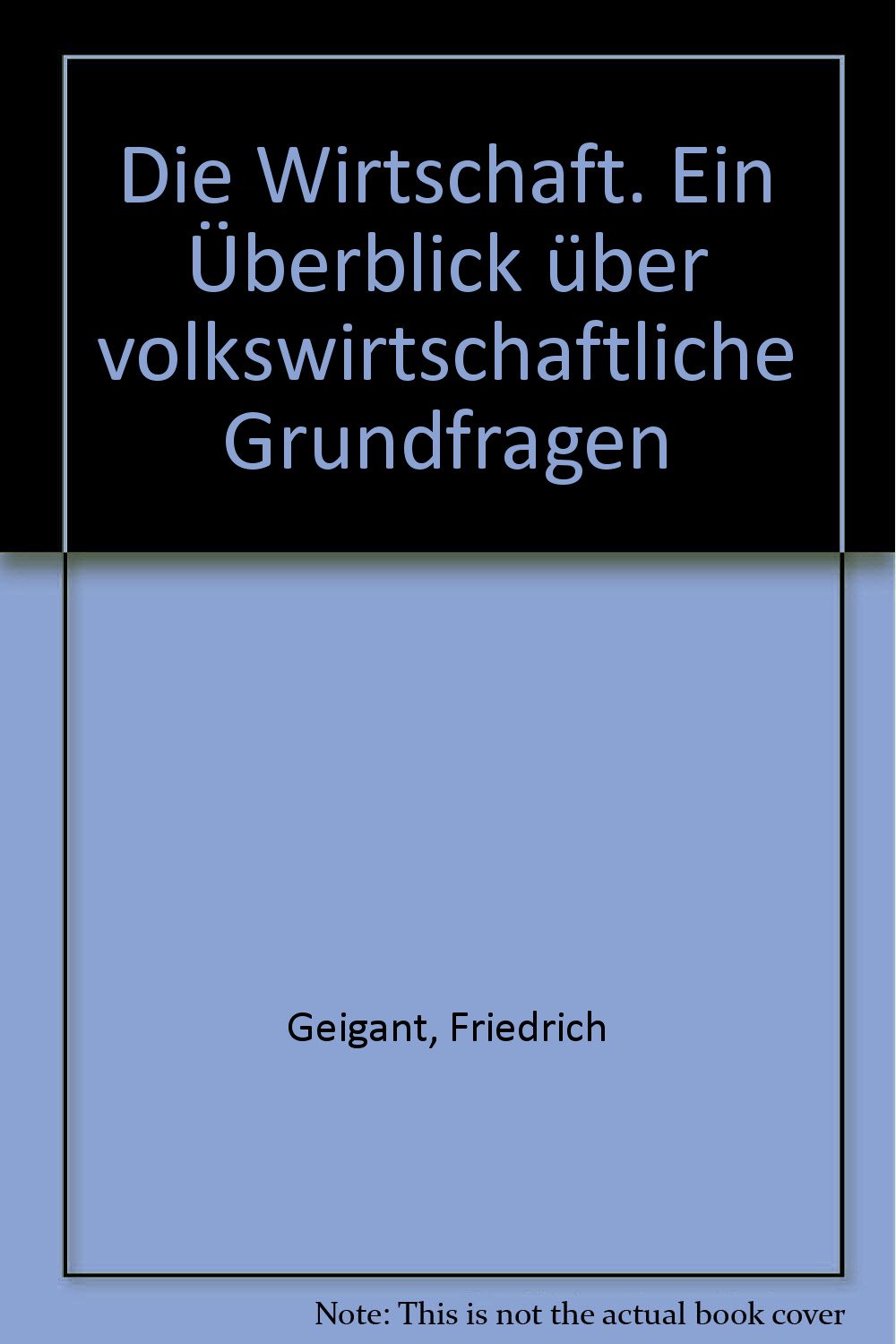 Die Wirtschaft. Ein Überblick über volkswirtschaftliche Grundfragen Books