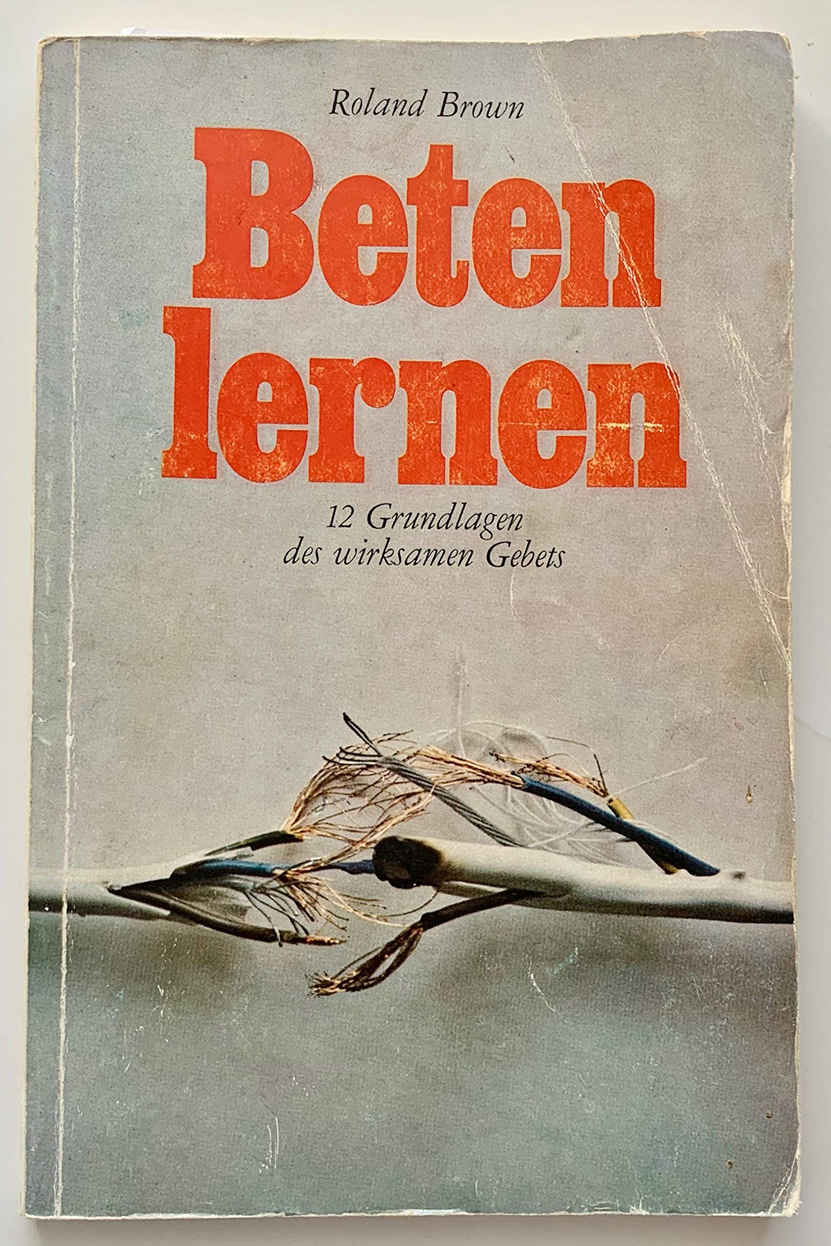 Beten lernen - 12 Grundlagen des wirksamen Gebets Religion & Esotericism