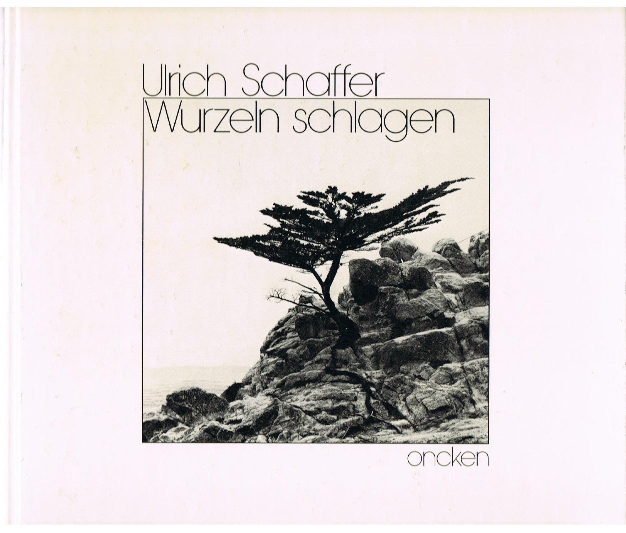 Product Image: Wurzeln schlagen
