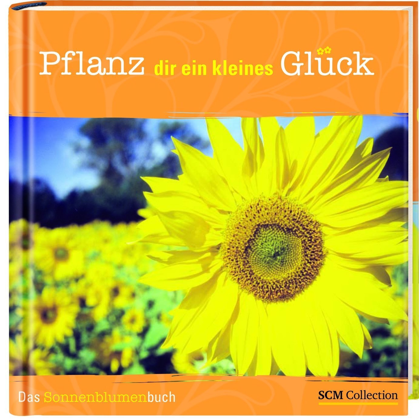 Pflanz dir ein kleines Glück!: Das Sonnenblumenbuch Living & Furnishing Books