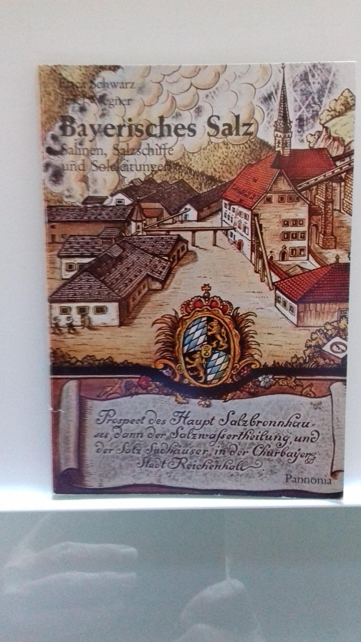 Bayerisches Salz. Salinen, Salzschiffe und Soleleitungen Film, Art & Culture