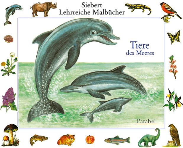 Tiere des Meeres: Malbuch (Siebert Lehrreiche Malbücher) Non-fiction