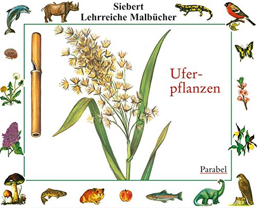 Product Image: Schmetterlinge - Tagfalter. Malbuch