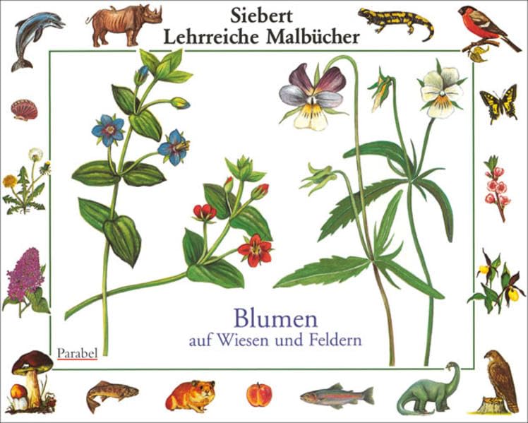 Blumen auf Wiesen und Feldern: Malbuch (Siebert Lehrreiche Malbücher) Non-fiction
