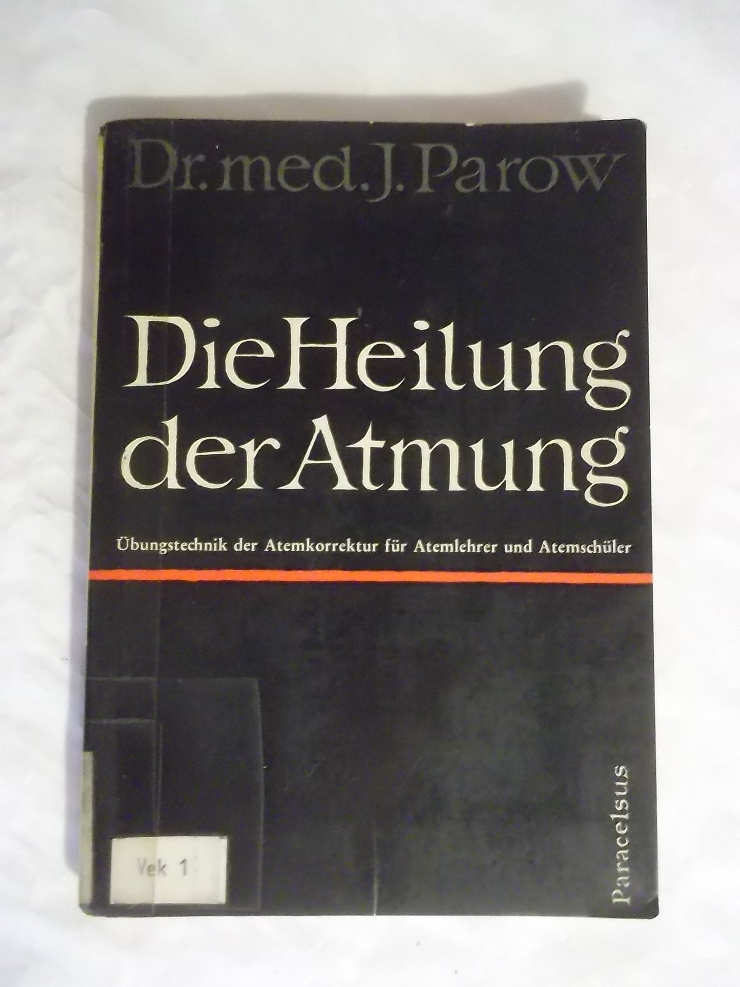 Die Heilung der Atmung : Übungstechnik der Atemkorrektur für Atemlehrer und Atemschüler. Books