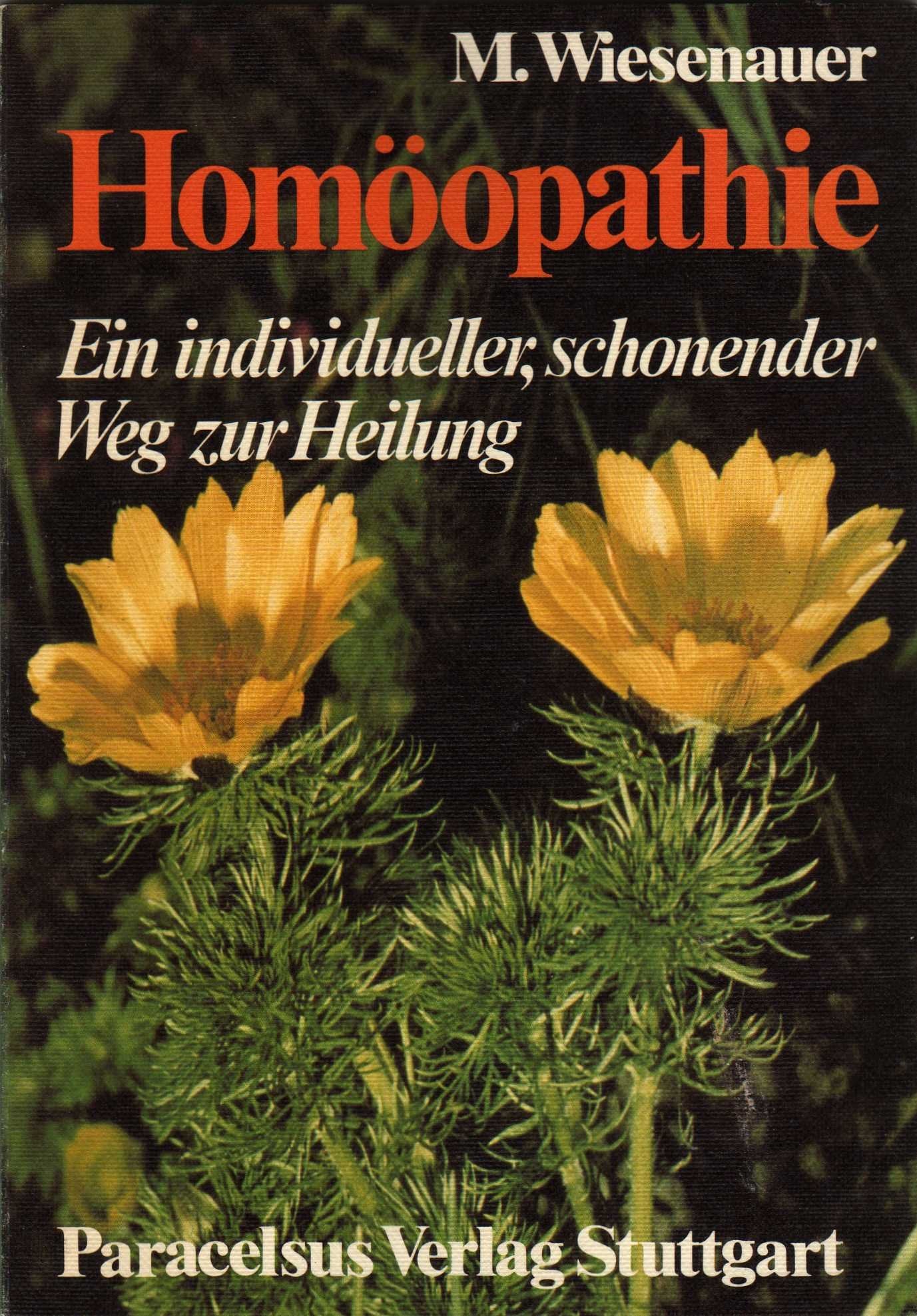 Homöopathie : e. individueller, schonender Weg zur Heilung ; e. allgemeinverständl. u. kurzgefasste Einf. Health, Nutrition & Fitness