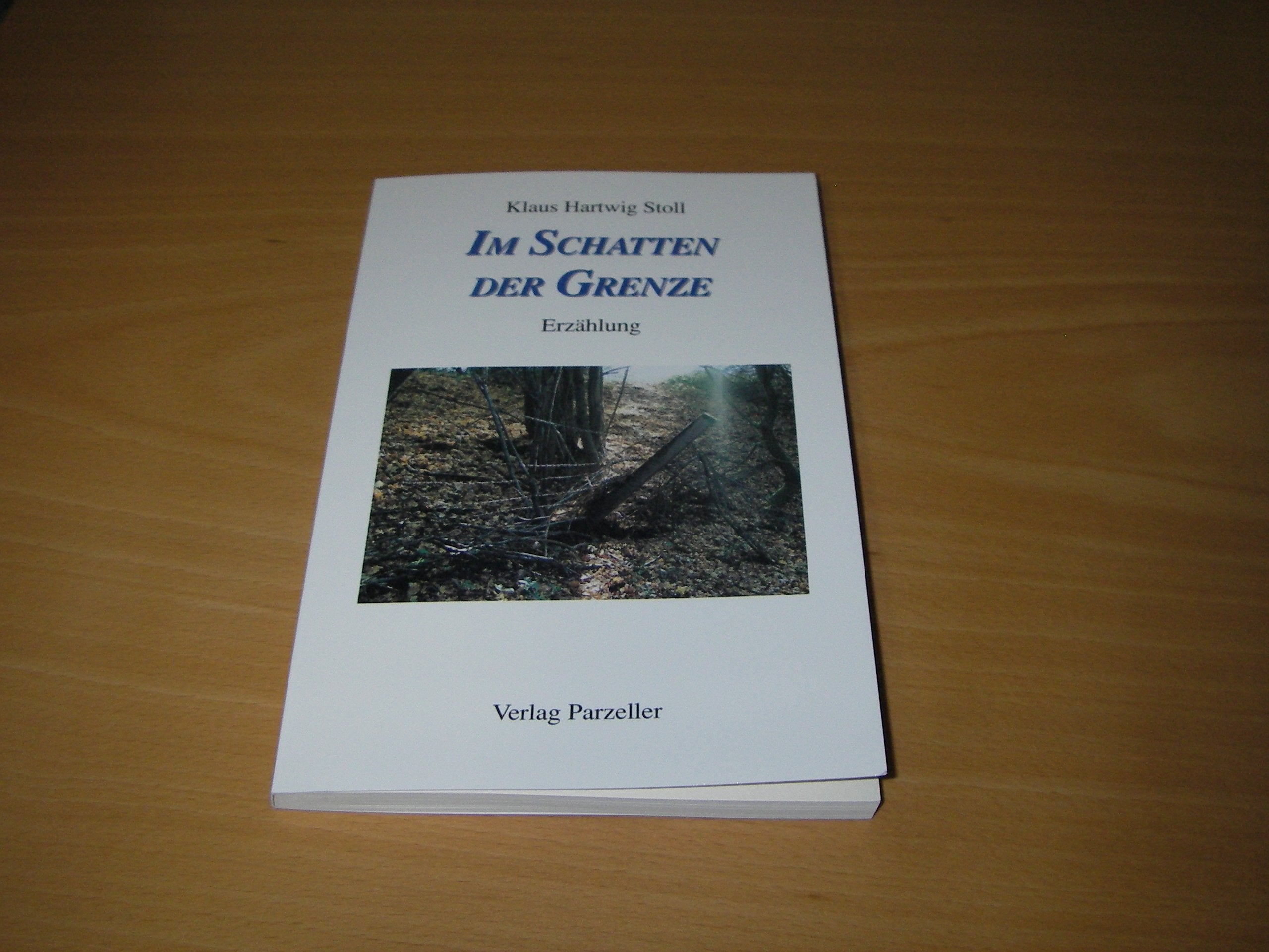 Im Schatten der Grenze: Erzählungen Contemporary literature