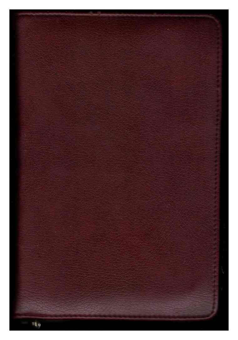 mit Gebetbuchhülle: Gotteslob, Katholisches Gebet- und Gesangbuch, Ausgabe für das Erzbistum Trier (ISBN 3790250406) Books