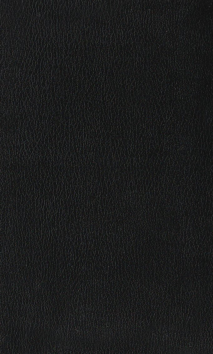 Gotteslob, Ausgabe Bistum Trier, schwarz, Großdruck Fiction