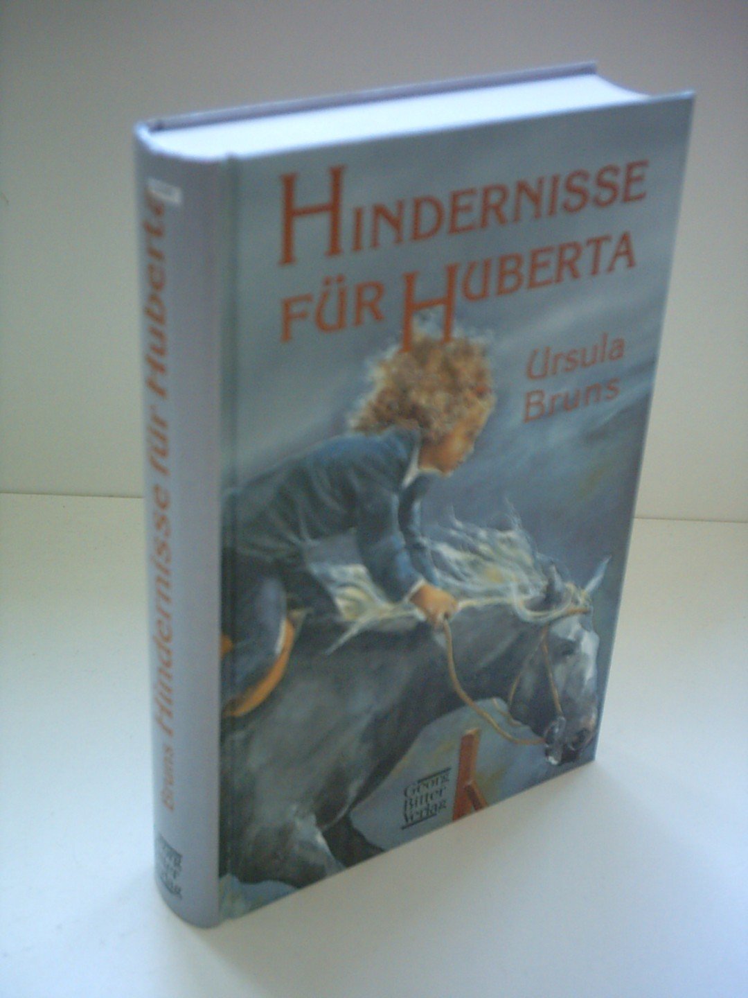 Hindernisse für Huberta Pets