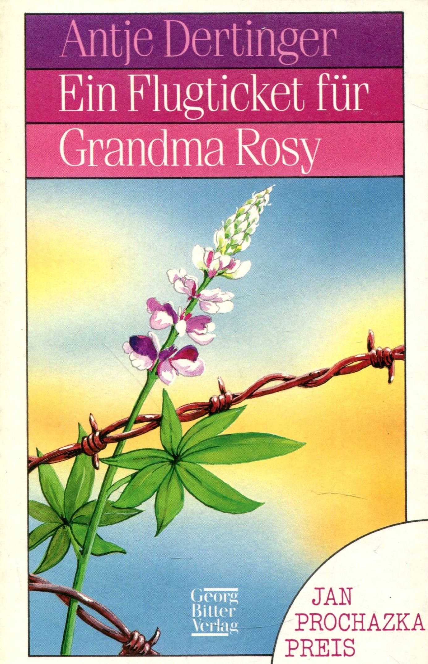 Ein Flugticket für Grandma Rosy Fiction