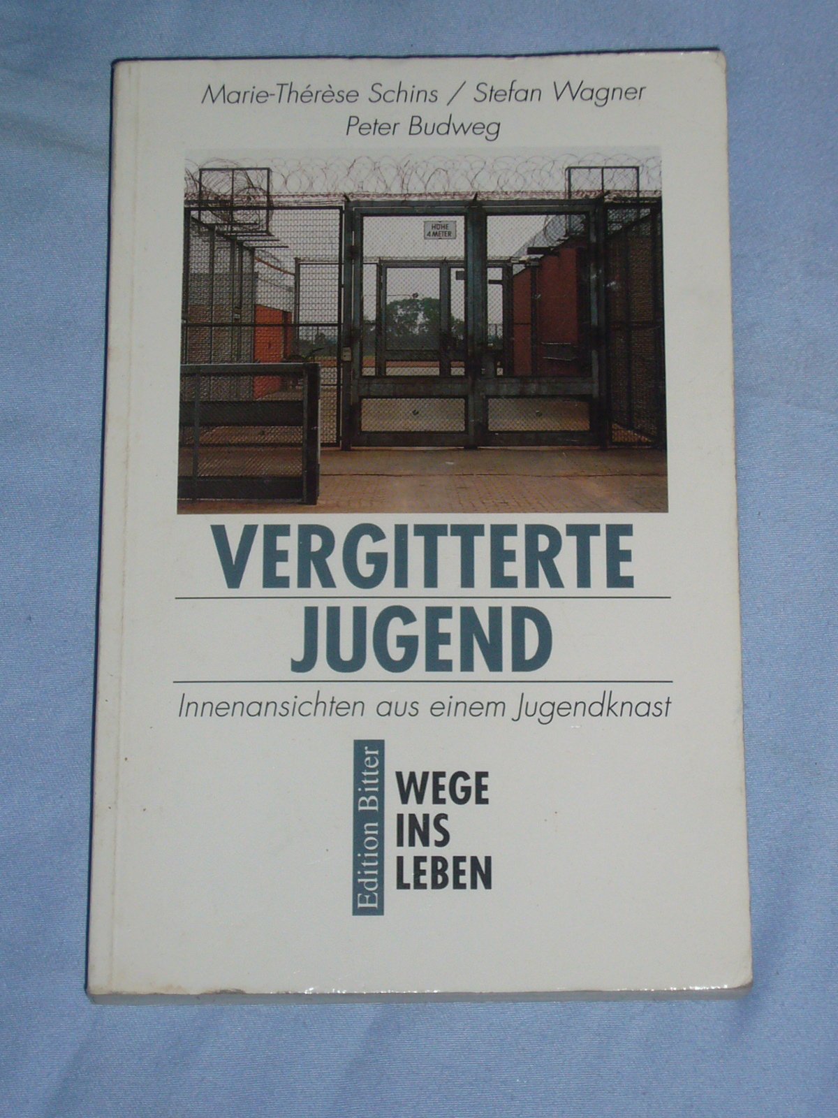 Vergitterte Jugend: Innenansichten aus einem Jugendknast Contemporary literature