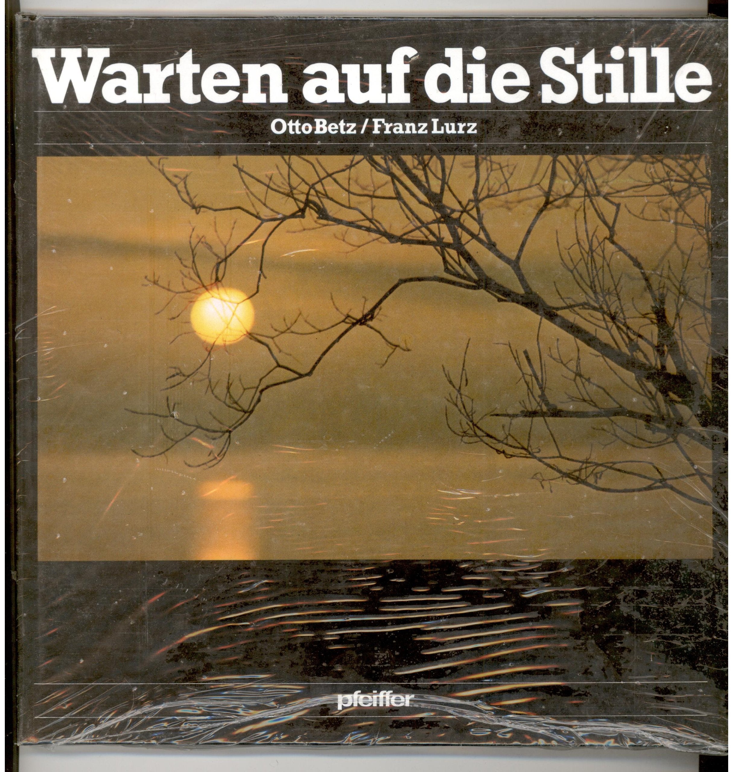 Warten auf die Stille Religion & Esotericism